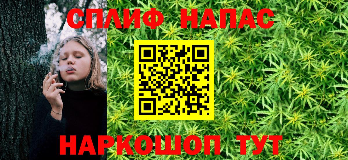 Каннабис план  Марихуана план  Бошки марихуана индика  Вход с VPN  Обнинск 